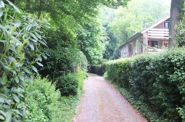 Op de hoek van de Beukenlaan en de Driebergsestraatweg is een autobedrijf gevestigd.