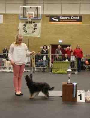 van Rooyen Kind Hond Show Joshua Bruggink met