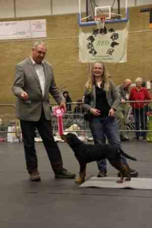 Bakker Muller 3: Chinese Naakthonden (Powderpuff) van P.E.E. van Oosten 4: Chinese Naakthonden van P.E.E. van Oosten 5: Golden Retrievers van B.J.M. Noteboom Broer 6: Labrador Retrievers van J.