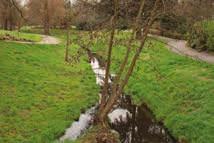 De Geleytsbeek gaat uiteindelijk ondergronds vooraleer ze uitmondt in de Zwartebeek, een zijrivier van de Zenne.