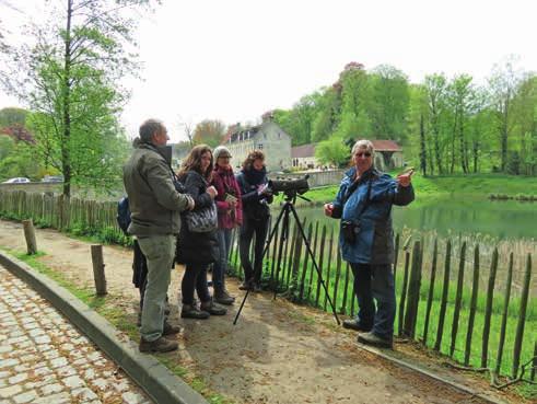 Begeleide themawandelingen De natuurgidsen van Brabant (le Cercle des Guides-nature du Brabant) organiseren regelmatig begeleide wandelingen.