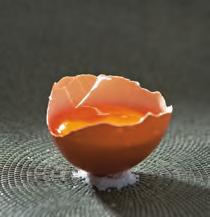 Eierdooier Een eierdooier heeft een optimale binding bij 85 C.