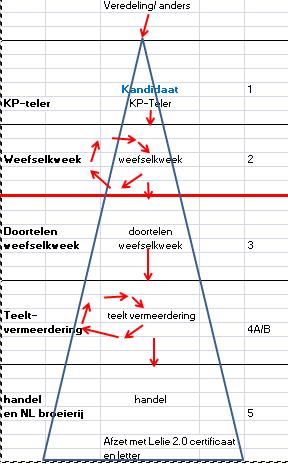 6. Bedreigingen en kansen De lelie teelt neemt in Nederland een belangrijke plaats in. Daarnaast is ook de afzet van Lelie s beduidend van belang. Nieuwe afzetmogelijkheden zijn zeker mogelijk.