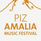Entree concert (duur 1,5 uur) Piz Amalia Muziek Festival op 16 september* Retourtransfer vanaf uw hotel of een afgesproken opstappunt (afhankelijk van het hotel waar u logeert) naar de locatie van