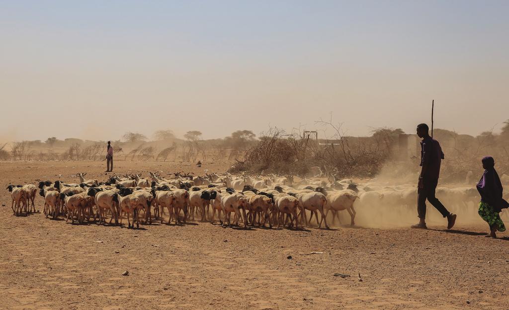 GIRO WE HEBBEN NU WEINIG ETEN OM KLAAR TE MAKEN Saado is 9 jaar. Samen met haar vader, moeder, broers en zussen woont ze in Somalië.