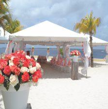 f u nu uw relatie wilt Oversterken of een belangrijke dag wilt vieren, Bonaire is de perfecte setting! Bonaire is het perfecte toevluchtsoord voor stelletjes en romantici.