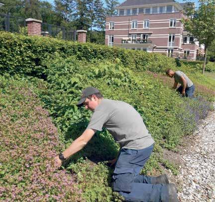 In ons eigen bedrijf, maar ook daarnaast bieden wij ruimte aan mensen die om bepaalde redenen een afstand tot de arbeidsmarkt hebben. Dit past in onze visie op maatschappelijk verantwoord ondernemen.