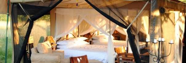 Overnachting in Serengeti Tanzania Bush Camp op basis van vol pension.