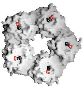 1. INLEIDING 1.1. HISTORIEK, STRUCTUUR EN CHEMISCHE EIGENSCHAPPEN VAN CRP C reactief proteïne, kortweg CRP, is een proteïne dat opgebouwd is uit 206 aminozuren.