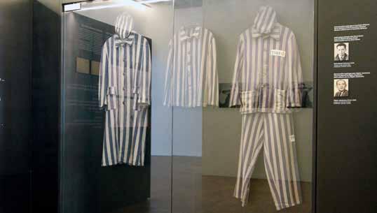 (Artikel 4: Slavernij is verboden en artikel 5: Martelen is verboden. In Auschwitz-Birkenau moesten de gevangenen hard en onder dwang werken. Gevangenen werden ook zeer vaak gestraft en gemarteld.