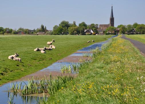 van fraaie natuurgebieden en de Vliet. Veel diversiteit aan woningen en de komende jaren worden nog diverse nieuwbouw projecten gerealiseerd.