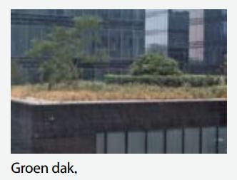 Artikel 13: Inrichting als groene daken van ontoegankelijke platte daken van meer dan 100 m²