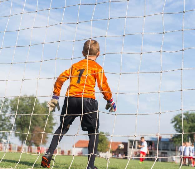 De jeugdprofessionals beschikken over uiteenlopende expertises en maken actief deel uit van verschillende ketens en samenwerkingsverbanden.