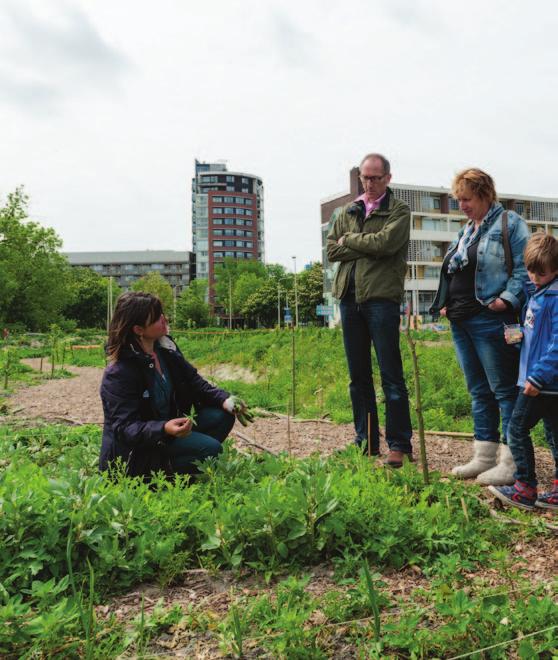 Hierbij zijn verschillende partijen en organisaties aangesloten, zoals Yoga, Kunst in de Wijken, de Groene Motor, IVN e.a. Met dit initiatief is Stichting Groenkracht in 2013 genomineerd voor de Rabo Stadslandbouw Award.