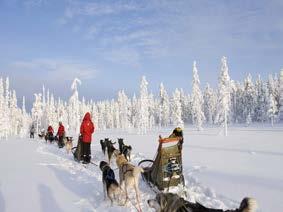 Tijdens deze vakantie zullen we een uitstap maken naar het sneeuwdorp.