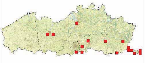 respectievelijk Drongen en Gent. De enige Antwerpse waarneming dateert van 1979 en werd verricht in Hoboken. Er zijn geen historische waarnemingen uit de provincie West-Vlaanderen bekend.