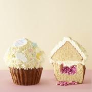 Gender reveal giant cupcake Zwanger? proficiat! Is het een jongen? of een meisje? Kom het te weten door de giant cupcake aan te snijden.