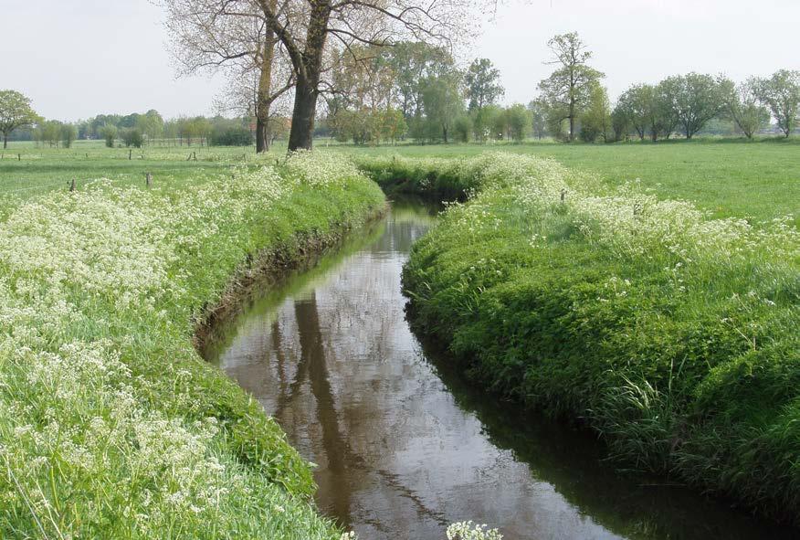 Voorwoord Natuur is mooi om naar te kijken, in te wandelen of in te spelen. Natuur biedt ook heel wat diensten aan de maatschappij, van bestuiving tot waterzuivering.