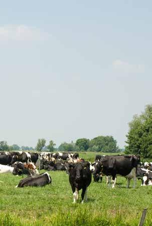 Landschap De provincie vindt het belangrijk dat een goed vestigingsklimaat hand in hand gaat met een aantrekkelijke omgeving.