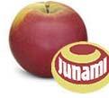 Gebruik De appel wordt voornamelijk gebruikt als handappel. De Junami Kleur De Junami is helderrood tot donkerrood met een groengele wat bleke grondkleur.