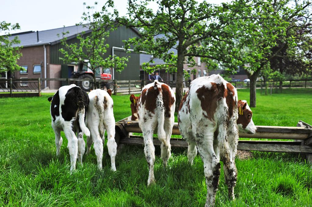 RIJNSTREEK ACCOUNTANTS of bij een controle op de voortgang. Uiteraard wordt een jaarrapport of een (bedrijfseconomisch) advies altijd persoonlijk besproken.