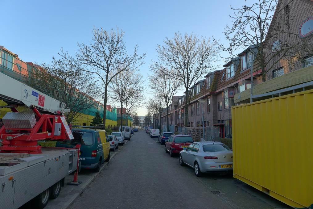 Petrus Hendrikszstraat: De essen en sierperen langs deze weg staan in plantspiegels tussen