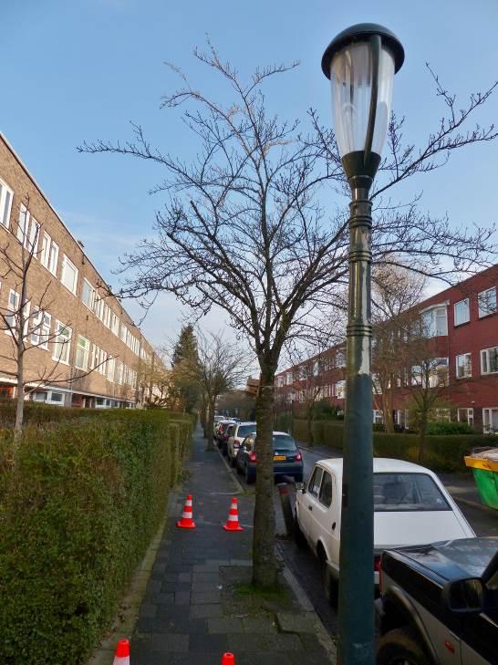 In deze straat komt het hoofdriool ook midden in de weg te liggen. De huisaansluitingen doorsteken de trottoirs.