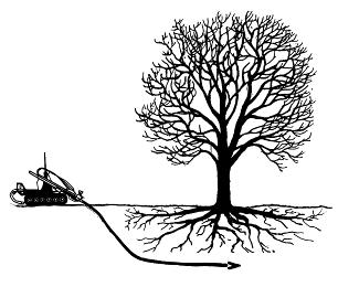 6. Leg kabels en leidingen zorgvuldig aan Leg kabels en leidingen niet dichter dan twee meter langs bomen.