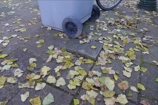 Diephuisstraat: Aan beide zijden van de Diephuisstraat staan essen in een relatief breed trottoir.