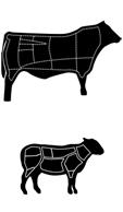 Meat Standards Australia grading system
