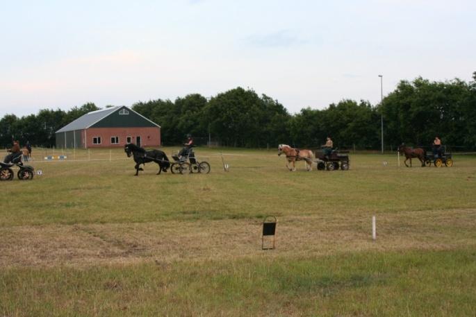 Leonieke Wubs (met Lyoek), Roxanne Wubs (met Emma), Lisanne van Leeuwen (met Jo) en Claudia Nobbe (met Harry) lieten zien dat ook zij dat kunnen.