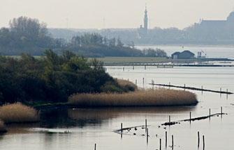 Meer grootschalig polderlandschap