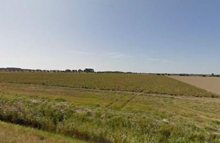 Direct aan de Veerse Dam is de Schotsman gelegen, een buitendijks bos- en natuurgebied in de westpunt van Noord- Beveland.