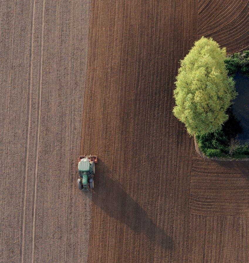 Vlaanderen is landbouw & visserij DEPARTEMENT LANDBOUW & VISSERIJ KLIMAATMITIGATIE IN LANDBOUW Een literatuurstudie Lorem ipsum dolor