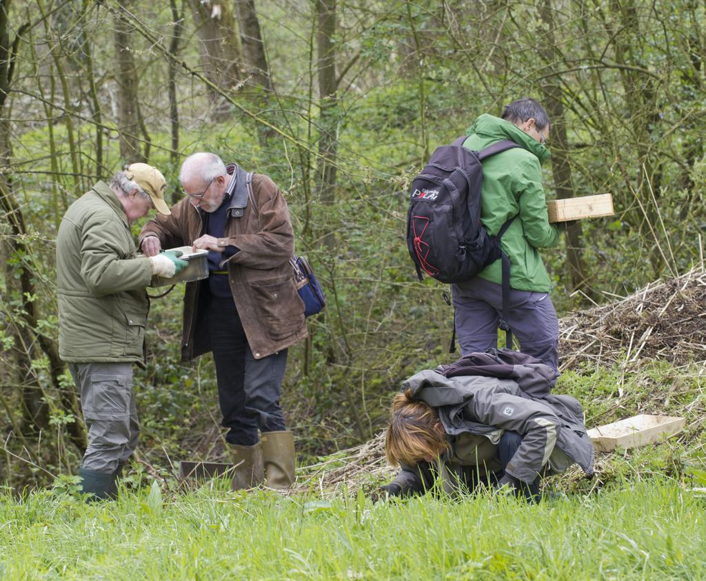 Natuurstudiewerkgroep Waasland-Noord Natuurhuis Panneweel Krekeldijk 2, 9170 Sint-Gillis-Waas (Meerdonk)