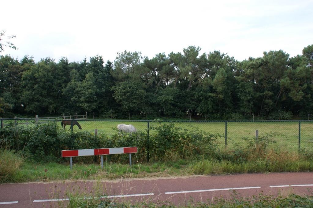 14 Huidige situatie Beeld van