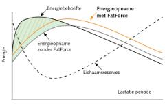 23. Wat gebeurt er als de NEB te groot wordt en hoe noemen we deze (voedings)ziekte. Koe neemt te weinig energie uit voer op. Terwijl ze meer energie nodig heeft om al het melk te kunnen produceren.