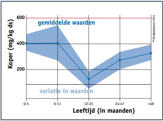 Afbeelding: Koper gehalte in de lever. (Bron; GD). 21. Welke leeftijdsgroep heeft het meeste risico op mineralentekorten. Verklaar. Dieren van 9 maanden t/m eerste keer afkalven 22.