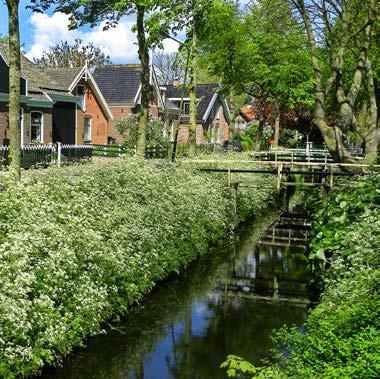 Deze voorraad voldoet maar beperkt aan de woonwensen. Meer diversiteit is gewenst. De opgave is sterk kwalitatief: het grootste deel van de toekomstige woningvoorraad is nu al aanwezig.