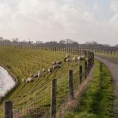 Westfriesland, een prachtig provinciaal monument dat de basis vormt