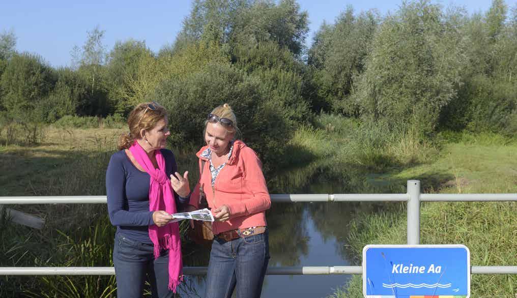 Twee stuwen in de beek zijn vervangen door vistrappen. Hierdoor kunnen vissen zoals de bittervoorn, kopvoorn en winde weer vrij migreren tussen de Essche Stroom en de Beerze.