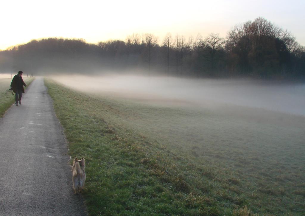 Maandoverzicht van het