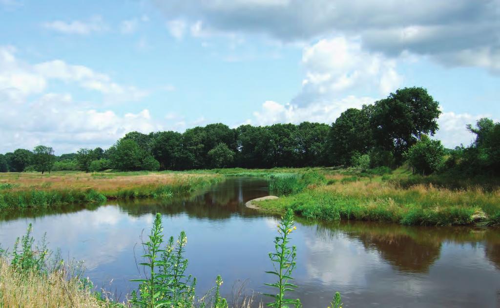 Alterra is onderdeel van de internationale kennisorganisatie Wageningen UR (University & Research centre). De missie is To explore the potential of nature to improve the quality of life.