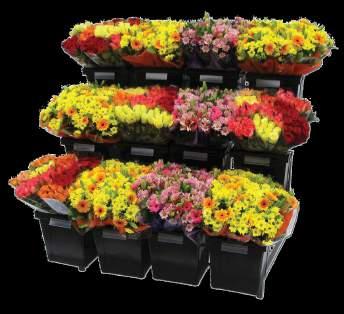 presentatie voor uw bloemen Voor elk type winkel is een