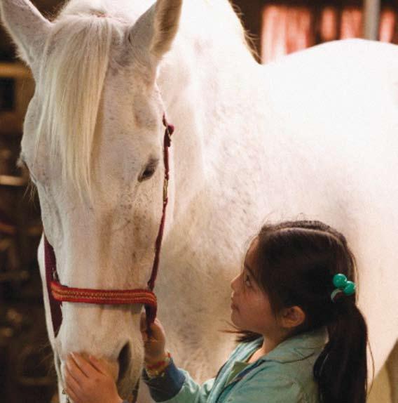 paard van Sinterklaas zorgen terwijl hij in Spanje verblijft! Haar tante en oom leren haar alles over het verzorgen van paarden, maar verbieden haar het enorme paard te berijden.