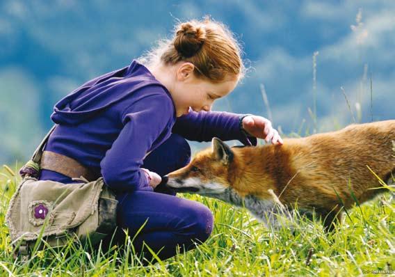 Le renard et l enfant Doelgroep 2e graad LO Op een koude herfstochtend raakt een tienjarig meisje gefascineerd door een vos.