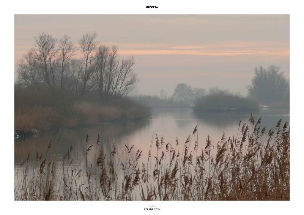 Wat levert dit op voor de natuur? 1. Meer ruimte voor bijzondere deltanatuur (en beleving) 2.