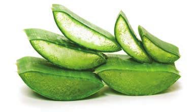 De Herbal Aloe Body Careproducten trekken snel in en sluiten het vocht in voor een langdurige hydratatie van uw huid.