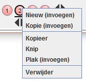 Met een rechtermuisklik op een pagina nummer heeft u meer mogelijkheden. Zo kunt u snel met knippen en plakken bijvoorbeeld een opdracht meteen op de