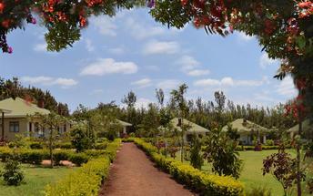 Cl ub P a g i n a 12 PERSOONLI J KE REI ZEN Activities Ngorongoro Crater Ngorongoro krater wordt beschouwd als een van de wereldwonderen en staat op de Unesco werelderfgoedlijst.